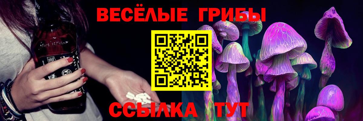 Пермь  Галлюциногенные грибы Cubensis  Вход с VPN 